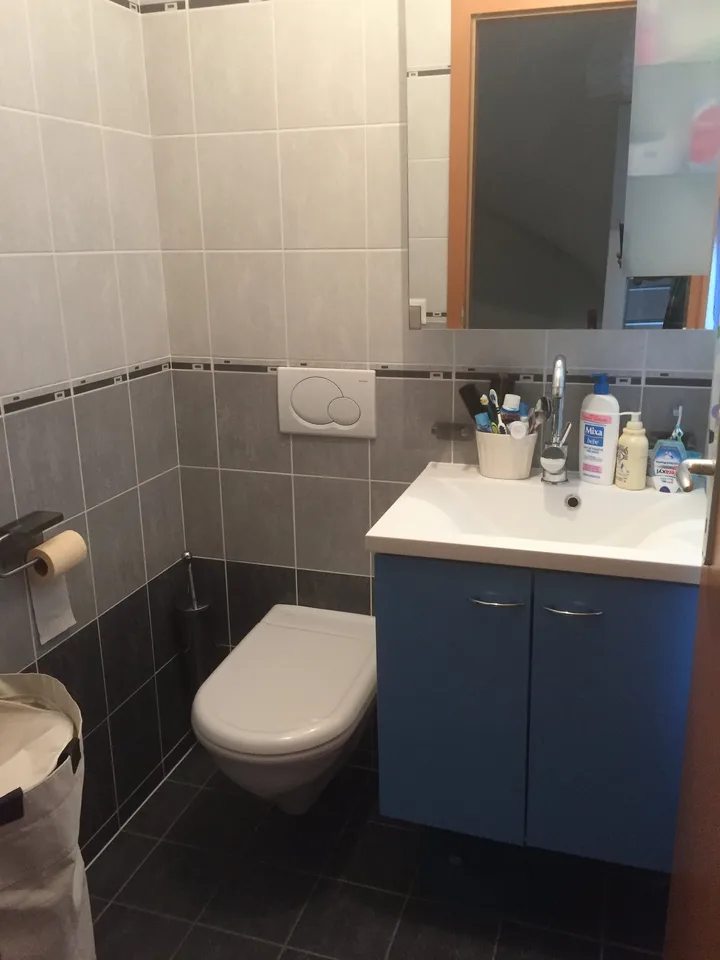 Maison familiale spacieuse de 6 pièces à Bernex – photo 6 sur 7