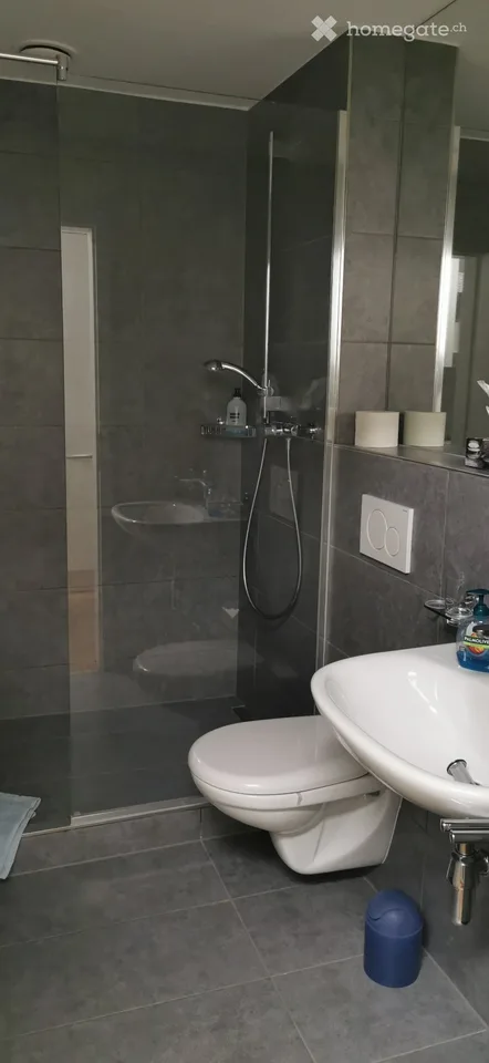 Zentrale Wohnung in Brissago – Foto 4 von 5