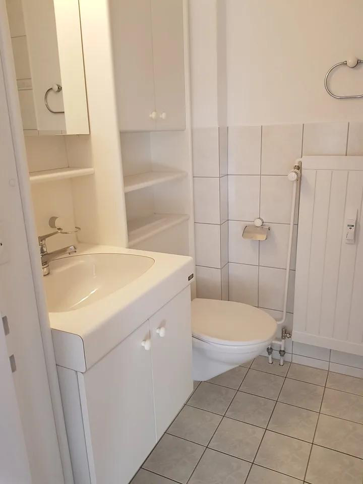 Lots of space for the whole family – 4.5-room apartment in Kreuzlingen – photo 8 of 10