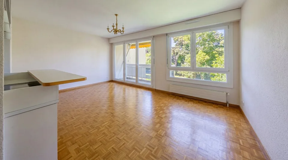 Delizioso appartamento di 3 locali a Thônex – Calmo e luminoso – foto 2 di 12