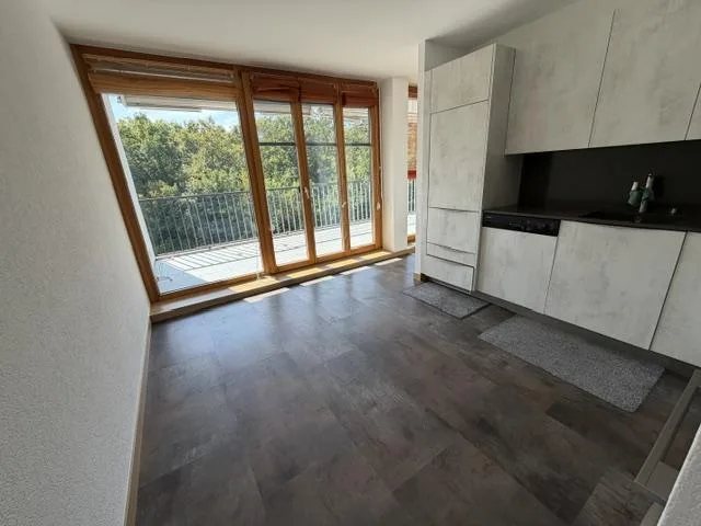 Beautiful Apartment-Terrace - Nyon – photo 7 of 13