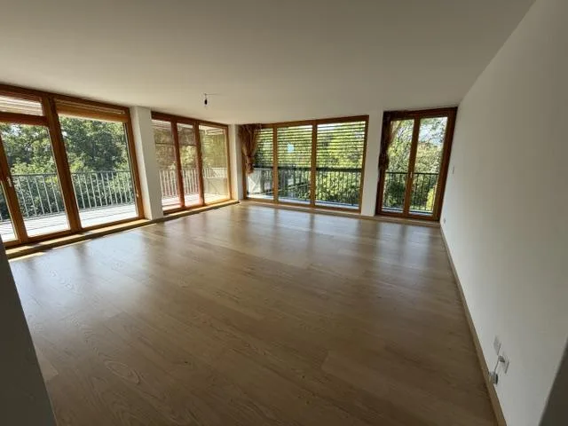 Beautiful Apartment-Terrace - Nyon – photo 4 of 13
