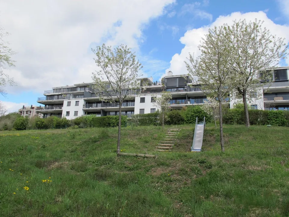 Beautiful Apartment-Terrace - Nyon – photo 2 of 13