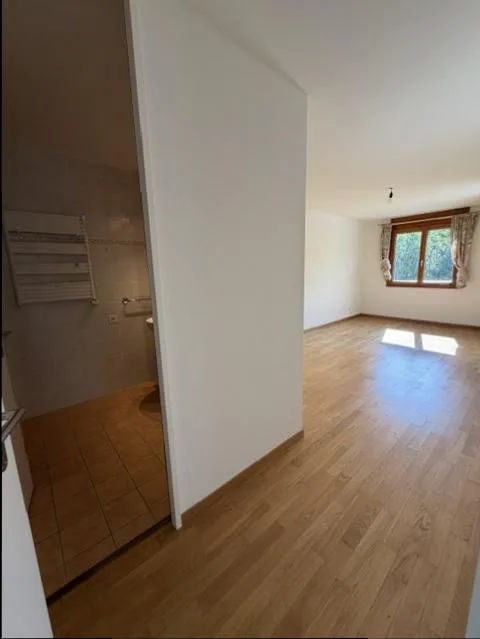 Beautiful Apartment-Terrace - Nyon – photo 8 of 13