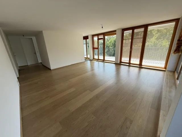Beautiful Apartment-Terrace - Nyon – photo 5 of 13