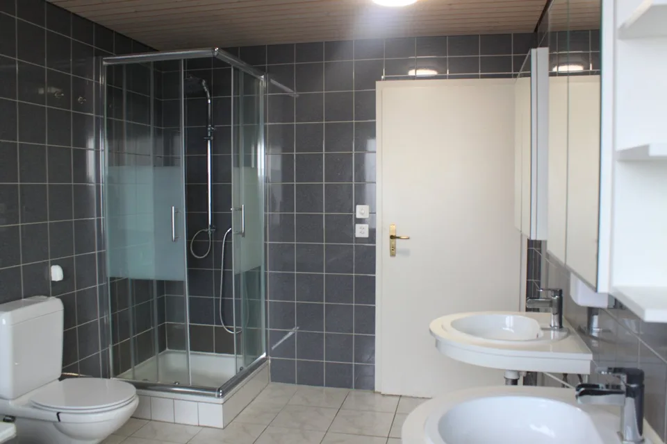 4.5-room apartment with fireplace in Schönenbuch – photo 6 of 6