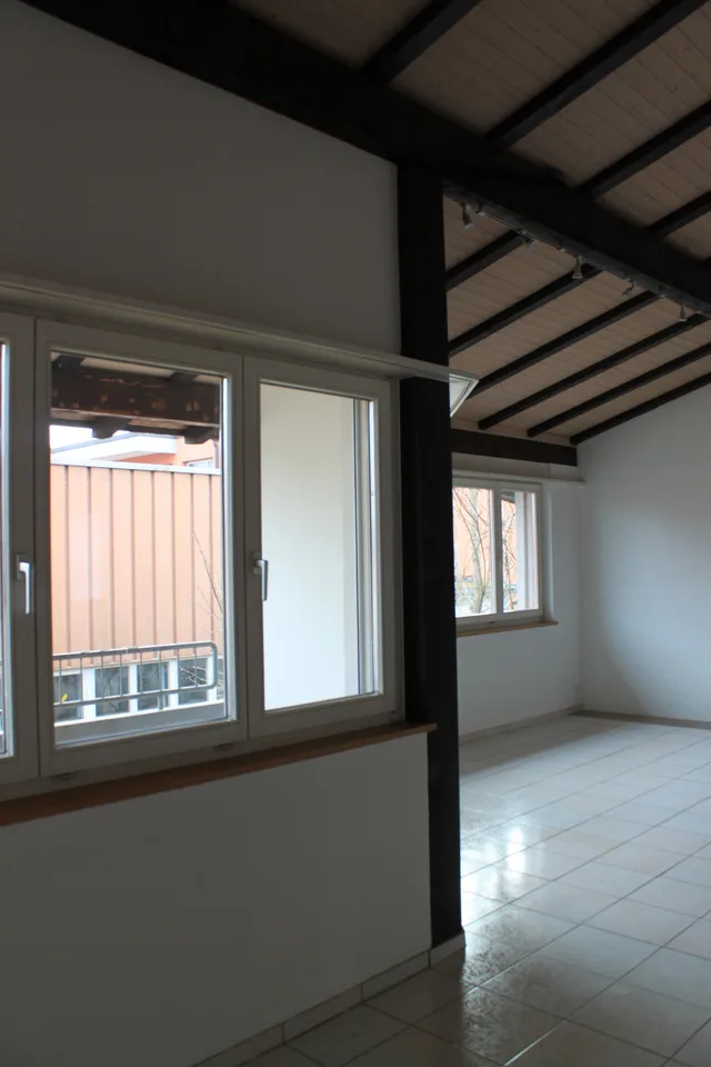 4.5-room apartment with fireplace in Schönenbuch – photo 3 of 6