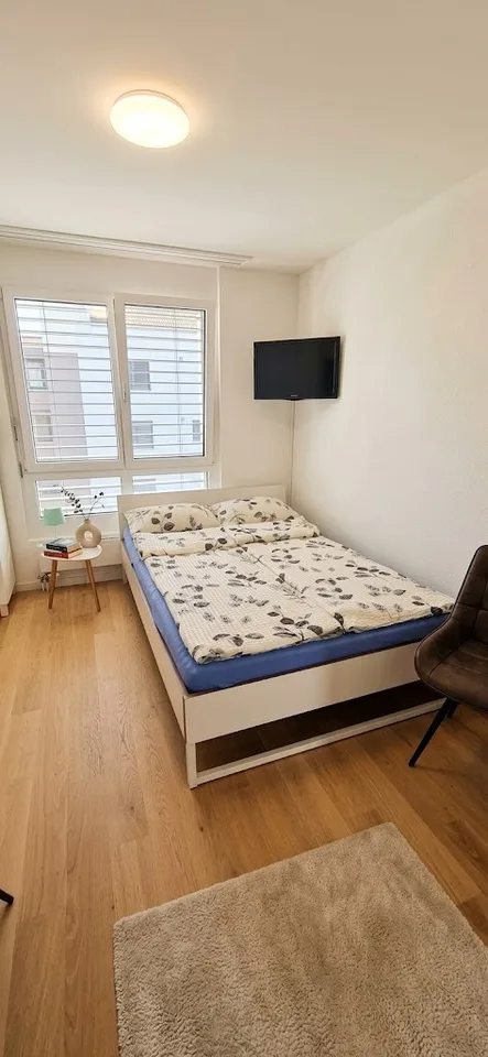 STUDIO IN LANGWIESEN (ZH), MÖBLIERT, TEMPORÄR – foto 3 di 3