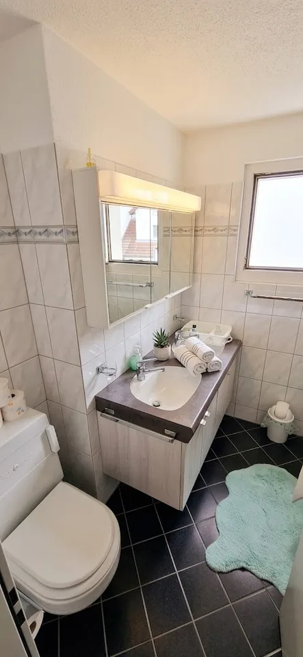 STUDIO IN LANGWIESEN (ZH), MÖBLIERT, TEMPORÄR – foto 2 di 3