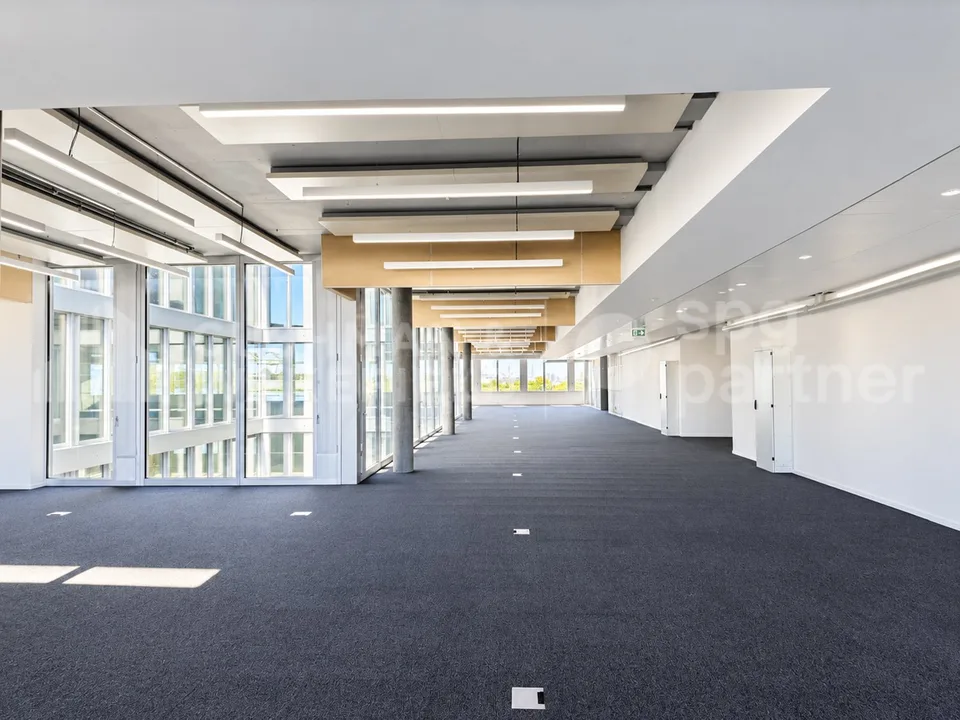 500 m² di superfici industriali high-tech in affitto - Stellar – foto 2 di 11