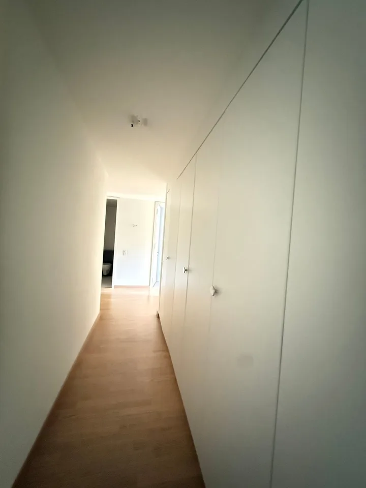 Appartamento affascinante 4.5 stanze al piano terra ad Arlesheim – foto 8 di 14
