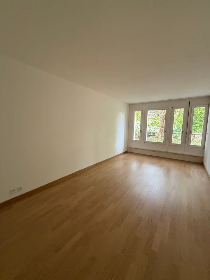 Appartamento affascinante 4.5 stanze al piano terra ad Arlesheim – foto 12 di 14