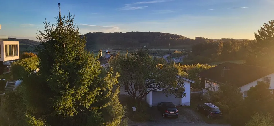 Habiter au bord de la forêt - charmant 2-pièces à Wettswil – photo 3 sur 10