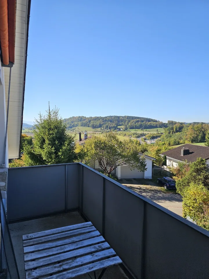 Habiter au bord de la forêt - charmant 2-pièces à Wettswil – photo 2 sur 10