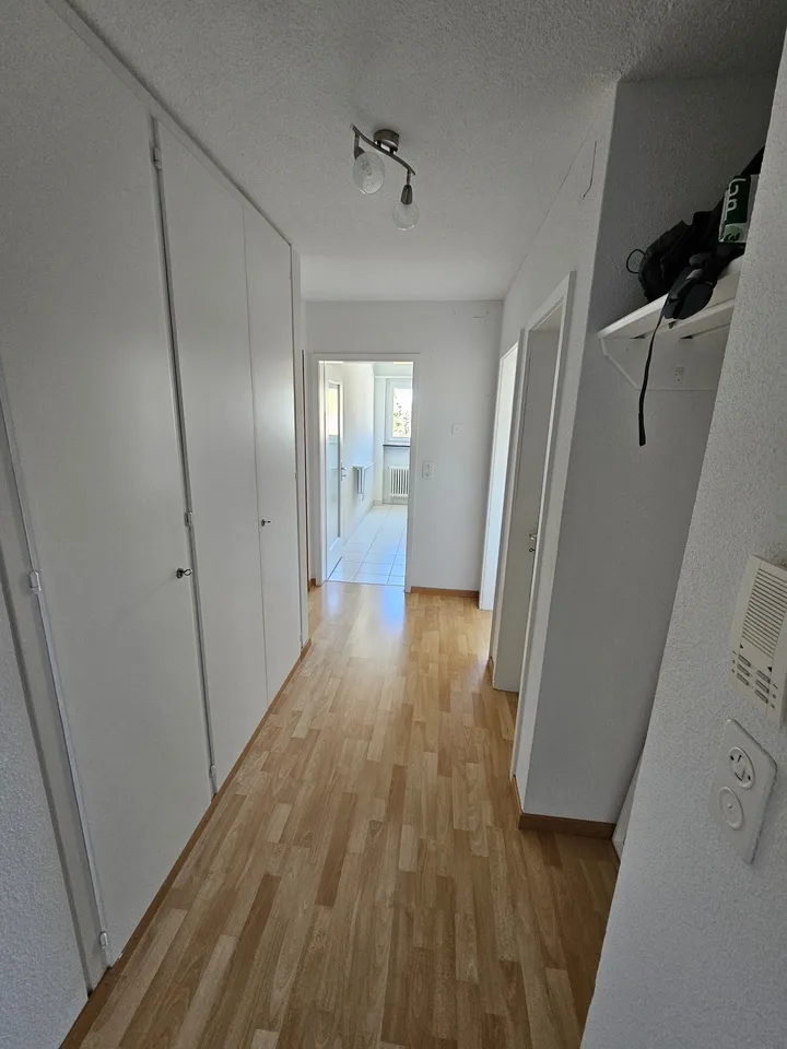 Habiter au bord de la forêt - charmant 2-pièces à Wettswil – photo 8 sur 10