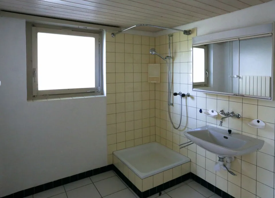 Maison avec 3 appartements et garage double – photo 5 sur 13