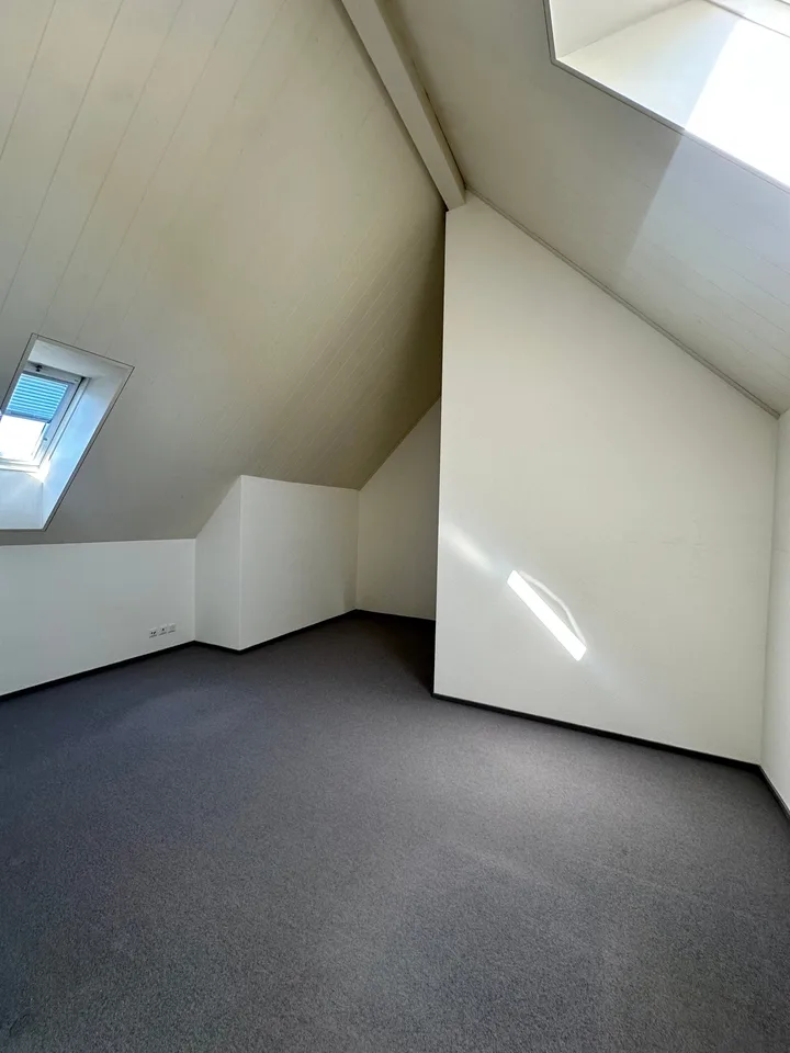 Appartement-maisonnette exclusif de 5,5 pièces avec panorama alpin à Hittnau – photo 13 sur 15