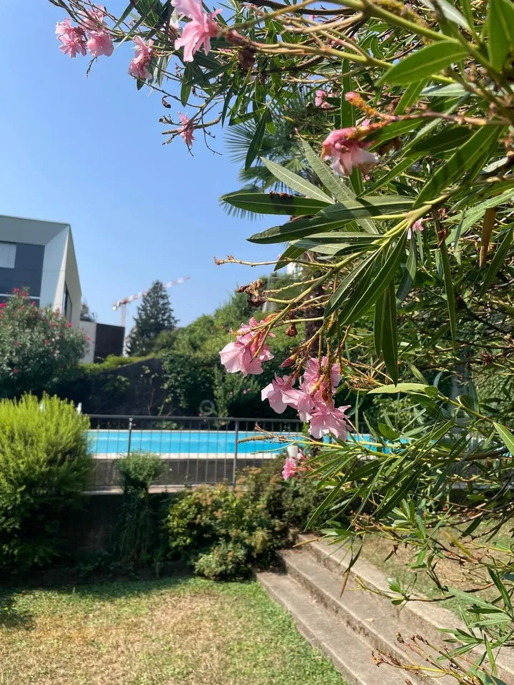 Espaceux 1.5 pièces avec cuisine habitable et utilisation de la piscine – photo 12 sur 13