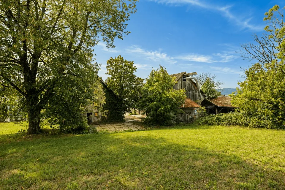 Domaine historique sur un terrain de 1'700 m2 dans un cadre naturel idyllique de Küsnacht – photo 3 sur 9