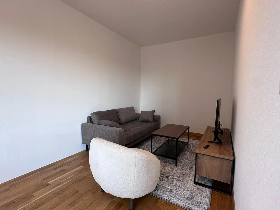 Coliving Spacieux entre Ville et Nature à Thônex – foto 28 di 38