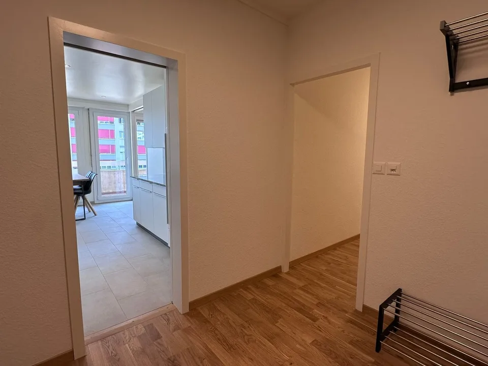 Coliving Spacieux entre Ville et Nature à Thônex – foto 37 di 38