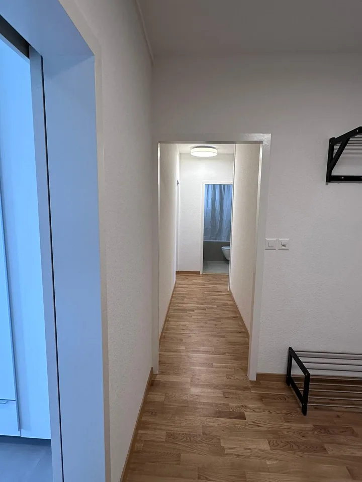 Coliving Spacieux entre Ville et Nature à Thônex – foto 38 di 38
