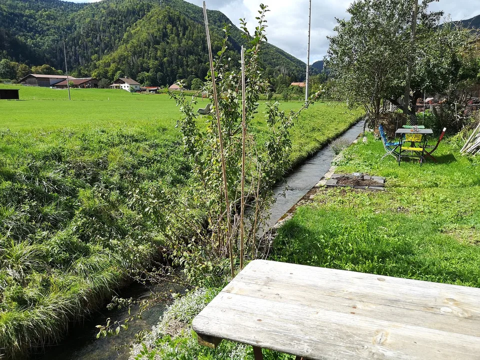 Mehrfamilienhaus mit 3 Wohnungen, Keller und Garten – Foto 3 von 30