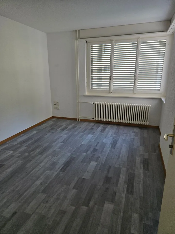 Appartamento di 4,5 locali ristrutturato di recente con vista sulla montagna a Linthal – foto 13 di 21