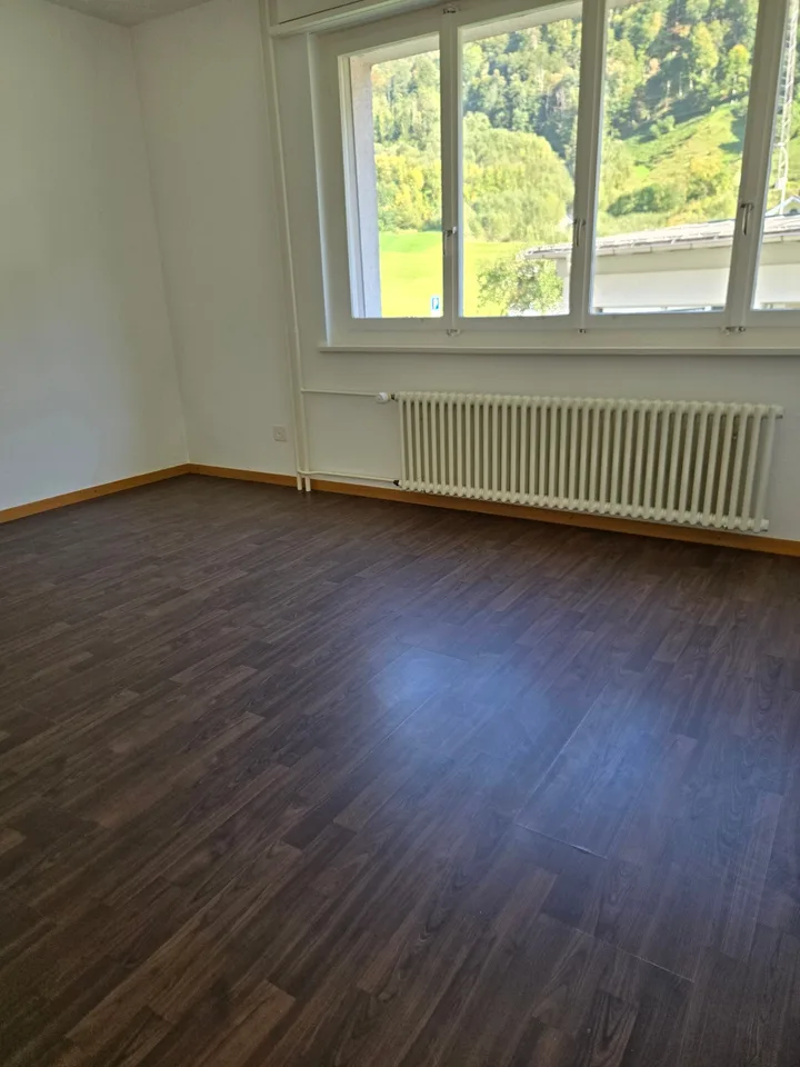 Appartamento di 4,5 locali ristrutturato di recente con vista sulla montagna a Linthal – foto 11 di 21