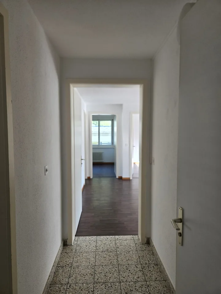 Appartamento di 4,5 locali ristrutturato di recente con vista sulla montagna a Linthal – foto 4 di 21