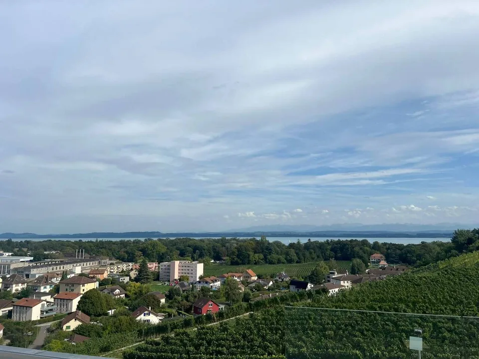 Les terrasses de Sachet, villas de 5.5 pièces à Cortaillod – Foto 6 von 13