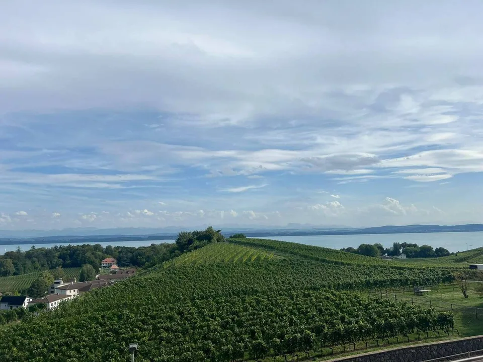Les terrasses de Sachet, villas de 5.5 pièces à Cortaillod – Foto 13 von 13