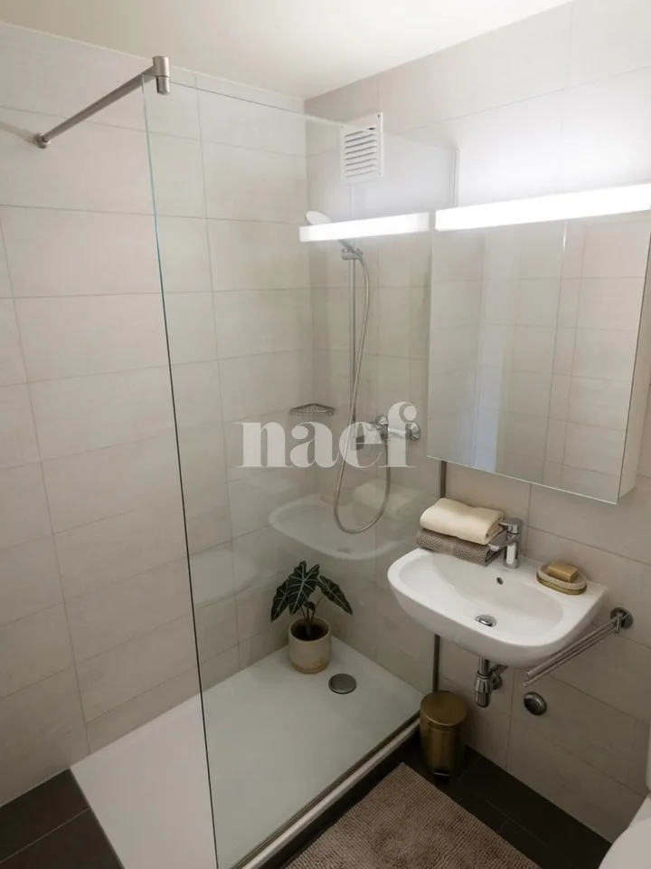 Schönes 2.5-Zimmer-Apartment komplett renoviert – Foto 4 von 4