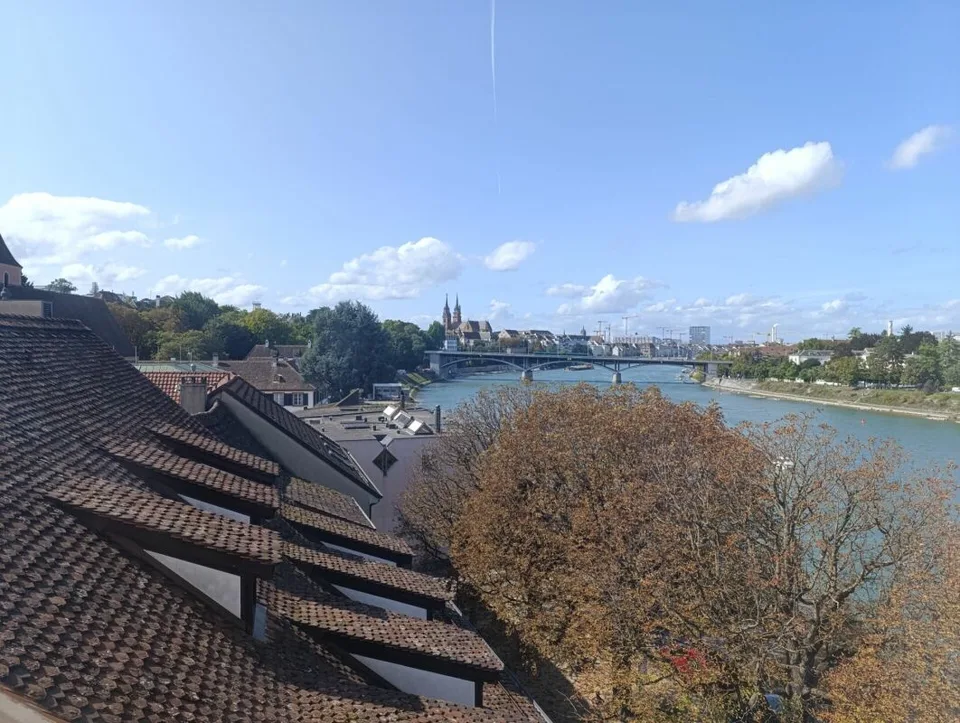 Wohnen direkt am Rhein (St. Alban-Tal) – Foto 8 von 11