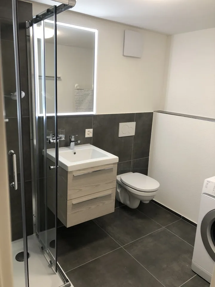 Appartamento 1 ½ locali, 9008 St. Gallen – foto 4 di 4