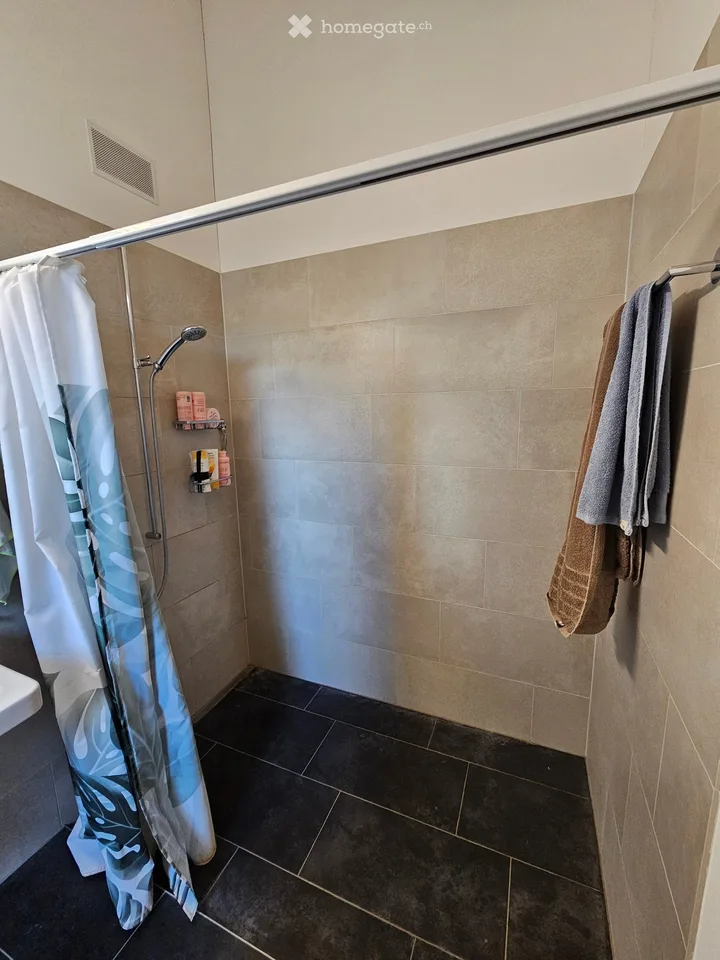 Subtenant wanted for charming attic apartment – photo 4 of 5