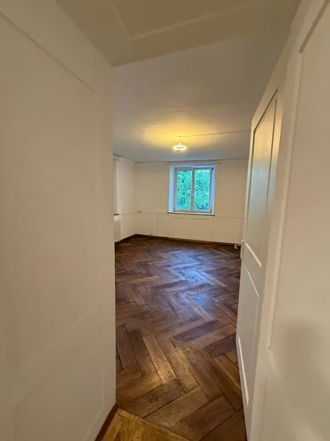 Premier loyer après rénovation, spacieux appartement 3.5 pièces au rez-de-chaussée avec terrasse et jardin – photo 5 sur 17