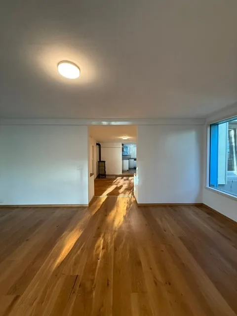 Premier loyer après rénovation, spacieux appartement 3.5 pièces au rez-de-chaussée avec terrasse et jardin – photo 6 sur 17