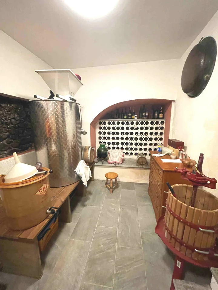 Spaziosa casa in collina con vista panoramica grande terreno e rustico in pietra – foto 21 di 21
