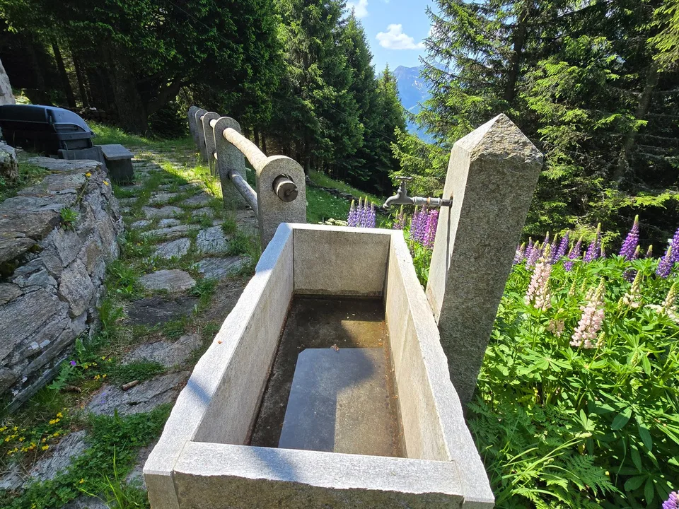Schönes Chalet inmitten der Natur mit Grundstück und herrlicher Aussicht – foto 25 di 30
