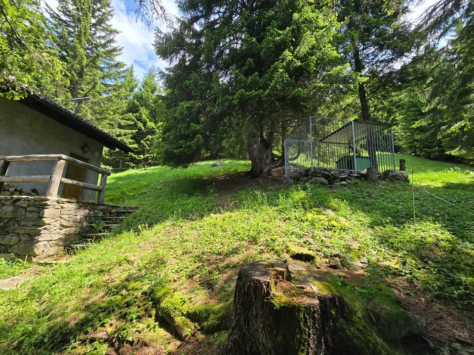 Schönes Chalet inmitten der Natur mit Grundstück und herrlicher Aussicht – foto 30 di 30