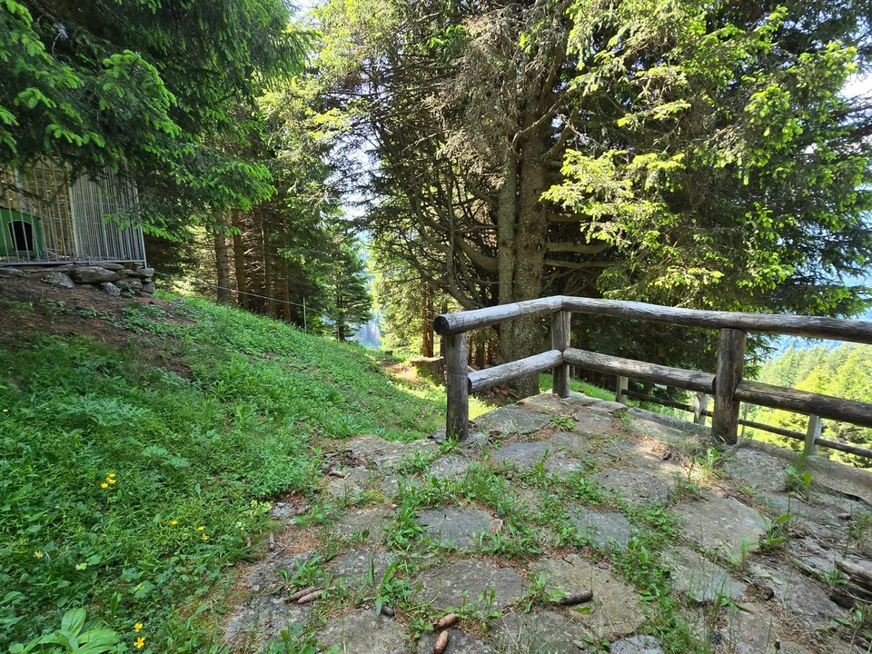 Schönes Chalet inmitten der Natur mit Grundstück und herrlicher Aussicht – foto 29 di 30