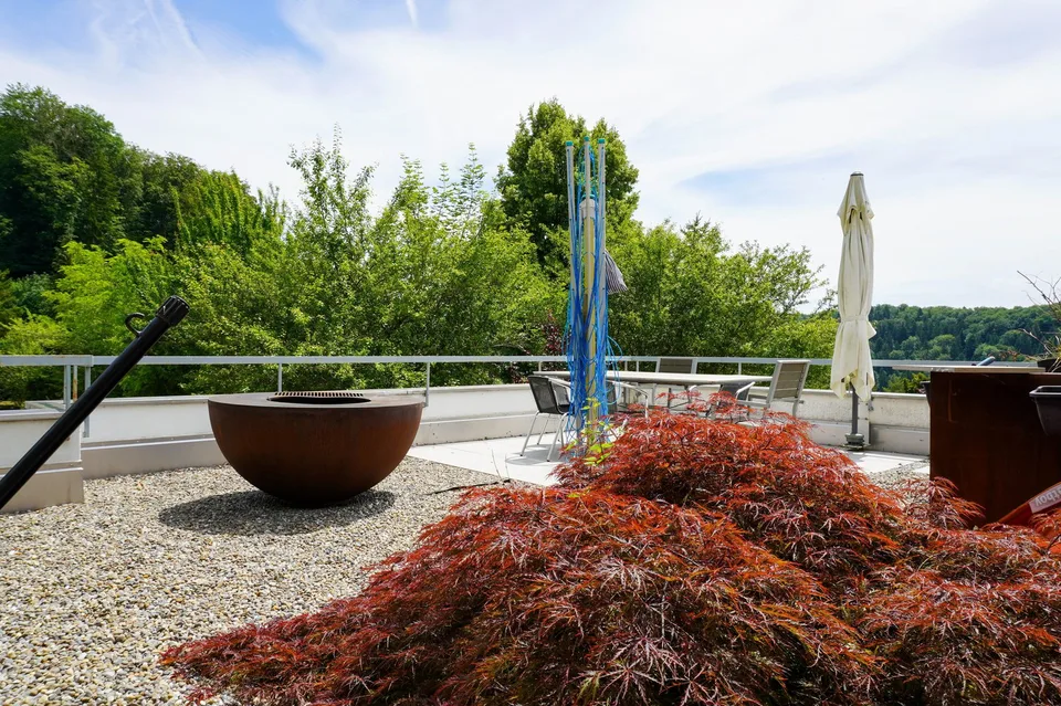 5.5-room apartment with large terrace – photo 13 of 13