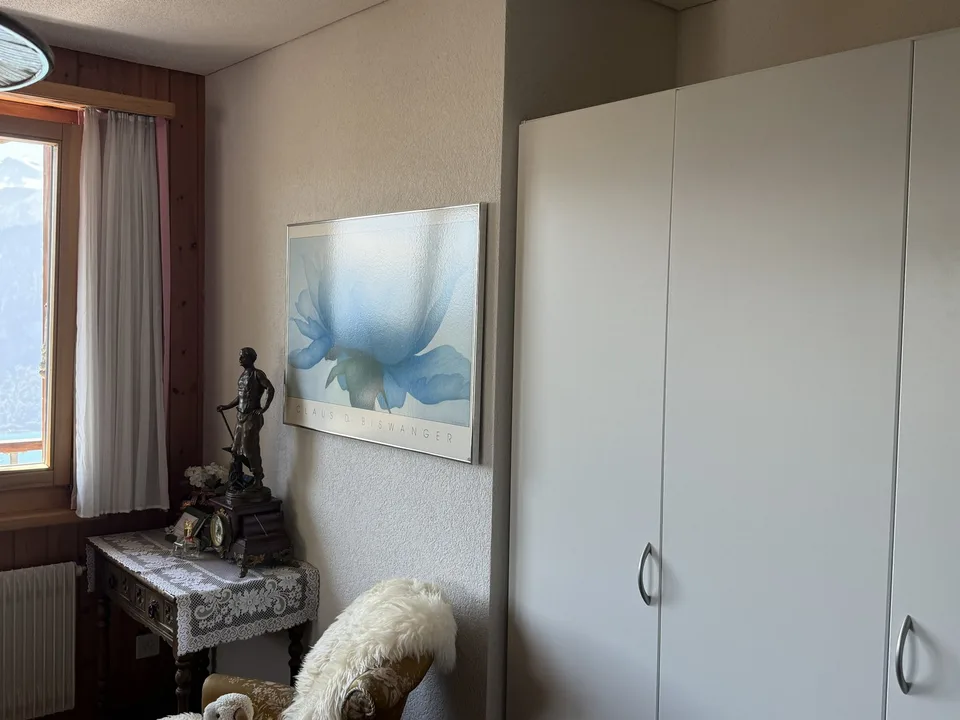 Charmant appartement de 3,5 pièces au dernier étage avec vue imprenable à Beatenberg – photo 17 sur 23