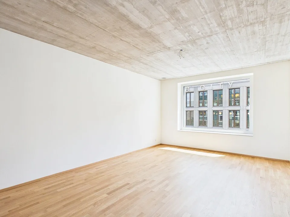 Primo affitto in un edificio moderno - vivere di alta qualità nel cuore di Basilea – foto 11 di 13