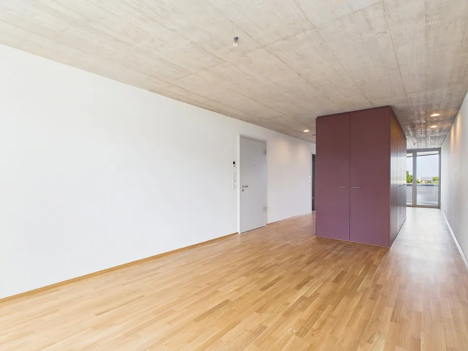 Primo affitto in un edificio moderno - vivere di alta qualità nel cuore di Basilea – foto 7 di 12