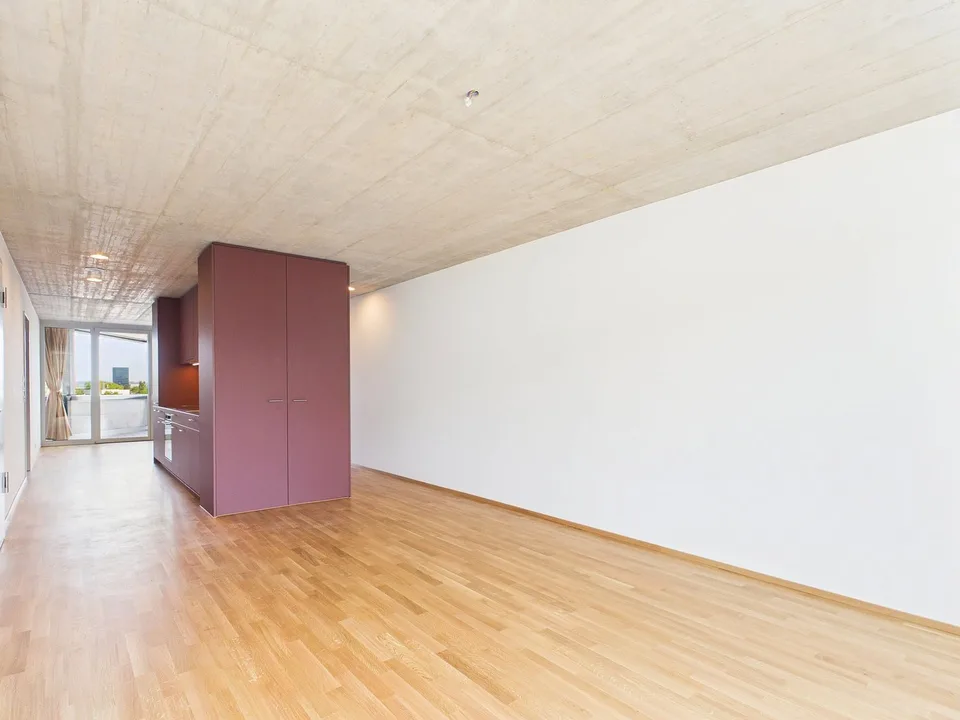 Primo affitto in un edificio moderno - vivere di alta qualità nel cuore di Basilea – foto 2 di 12