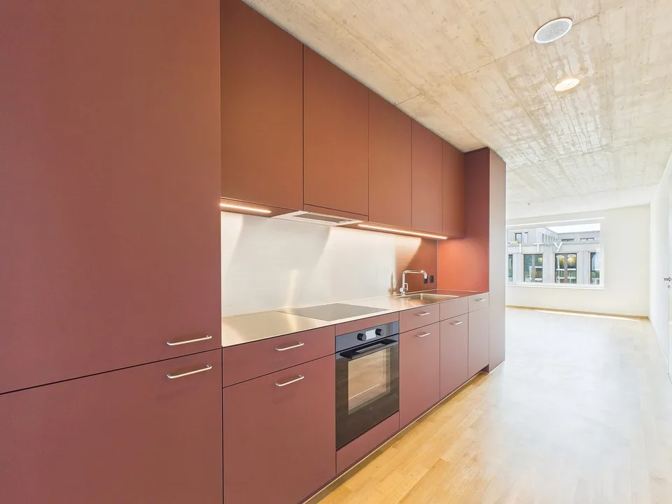 Primo affitto in un edificio moderno - vivere di alta qualità nel cuore di Basilea – foto 11 di 12