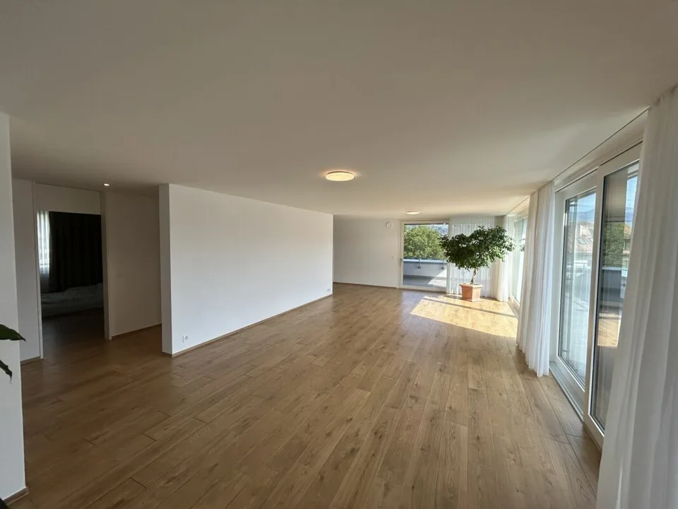 4.5- Zimmer-Attikawohnung im Eigentumsstandard gesucht? – Foto 4 von 18
