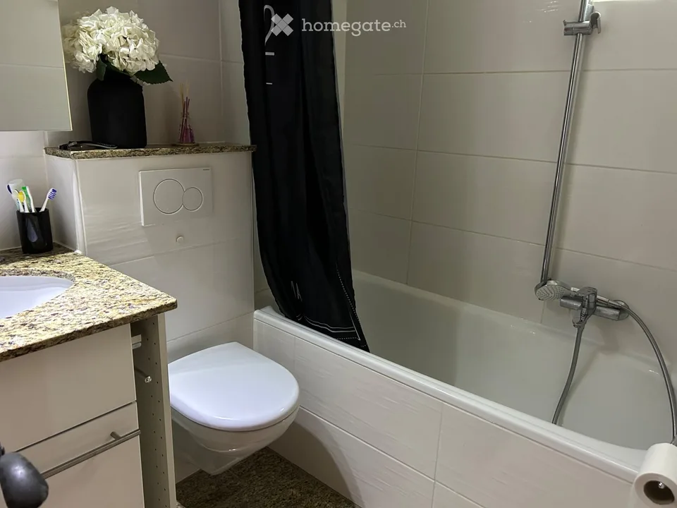 Schönes möbliertes Chalet zur Miete für ein Jahr in Haute-Nendaz – Foto 4 von 5